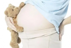 伊朗试管婴儿怀孕后注意事项