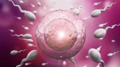 试管婴儿卵泡少怎么办