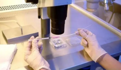 试管婴儿移植冻胎流程