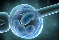 试管婴儿一年能做几次