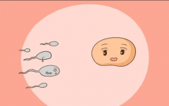 试管婴儿身体条件