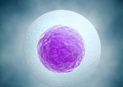 试管婴儿移植成功率