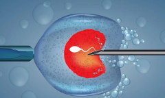 做试管婴儿男方的条件