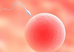 试管婴儿怎样做的