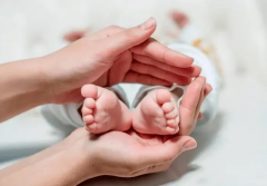 试管婴儿长方案