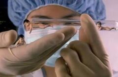 试管婴儿移植超预产期