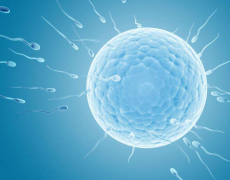 做试管婴儿医保能报吗