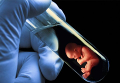 做试管婴儿男的要检查什么