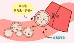 试管婴儿取卵后肚子疼是正常吗？