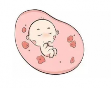 做试管婴儿初期不应吃什么食物