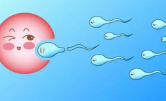 试管婴儿对卵巢的要求？伊朗试管婴儿