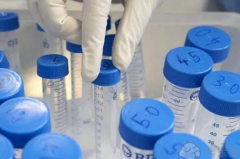 试管婴儿宫外孕血值低，伊朗试管婴儿