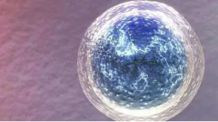 要备孕多久才能做试管婴儿？伊朗试管婴儿