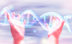 伊朗试管婴儿移植后八天肚子痛