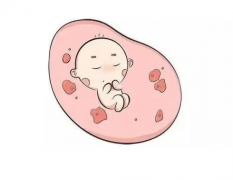 做试管婴儿需要哪些材料，伊朗试管婴儿