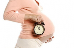 试管婴儿卵泡怎么分等级,伊朗试管婴儿