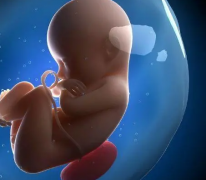 试管婴儿手术能报销吗？伊朗试管婴儿