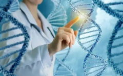 试管婴儿胎儿畸形率低吗，伊朗试管婴儿