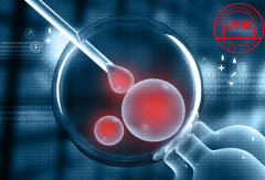 试管婴儿放囊胚放几个，伊朗试管婴儿