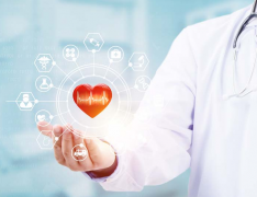 伊朗做试管婴儿孕酮高能移植吗