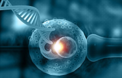 做试管婴儿做诊刮的作用