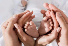 做试管婴儿取卵以后多吃什么好