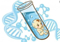 试管婴儿取卵要多久来月经，伊朗试管婴儿