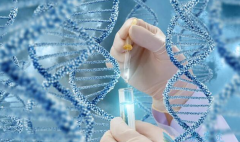 试管婴儿移植后验血血值高，伊朗试管婴儿