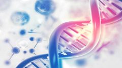 试管婴儿移植需要注意什么条件，伊朗试管婴儿