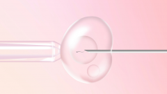 伊朗试管婴儿移植几天后可以测出来