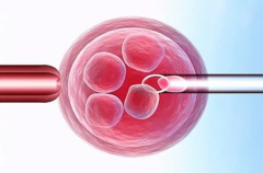 试管婴儿移植冻囊胚怎么算预产期