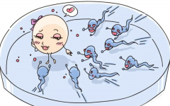 做试管婴儿注射促排卵药打几天针