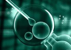 试管婴儿移植后有咖啡色分泌物，伊朗试管婴儿