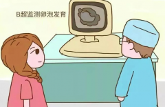 试管婴儿植入几个胚胎，伊朗试管婴儿