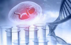 做试管婴儿后肚子疼，伊朗试管婴儿