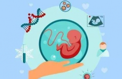 试管婴儿长方案的成功率，伊朗试管婴儿