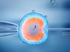 试管婴儿移植20天出血要休息么