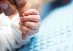 泰国赠卵试管婴儿费用