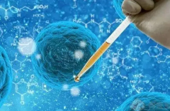 做试管婴儿怎样增加卵泡数量，伊朗试管婴儿