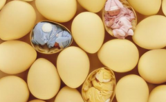 试管婴儿胎停原因有哪些，伊朗试管婴儿