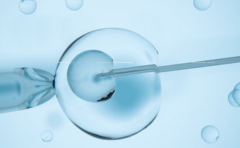 试管婴儿长方案步骤，伊朗试管婴儿